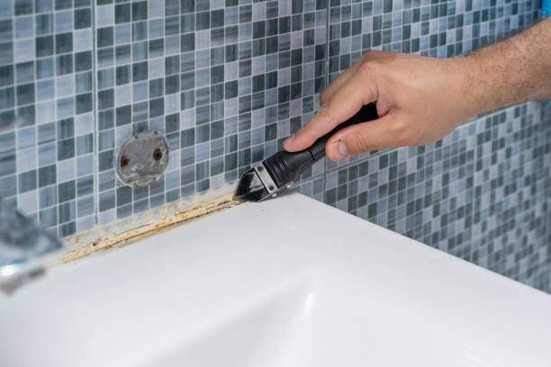Best Mold Remediation for Schools in Delevan, NY