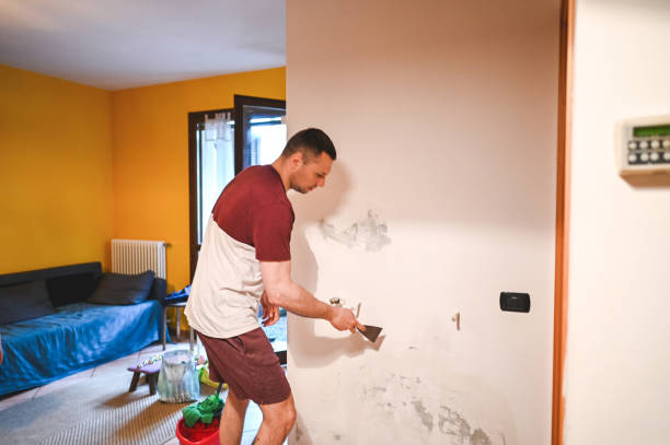 Best Mold Testing and Inspection Services in Delevan, NY
